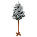 Albero Natale floccato europa cm 180